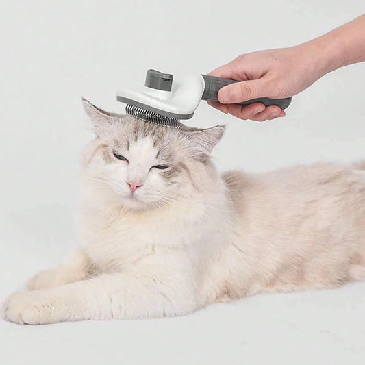 Special Combing Brush for Long-Haired Dogs