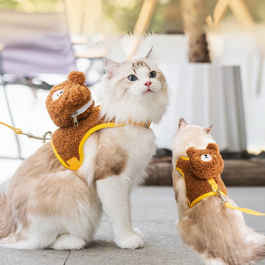 Stylish Removable Name Necklace Collar for Kittens and Cats