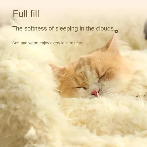 Cozy Bed Cats for Winter: Warm Houses & Habitats for Your Pets