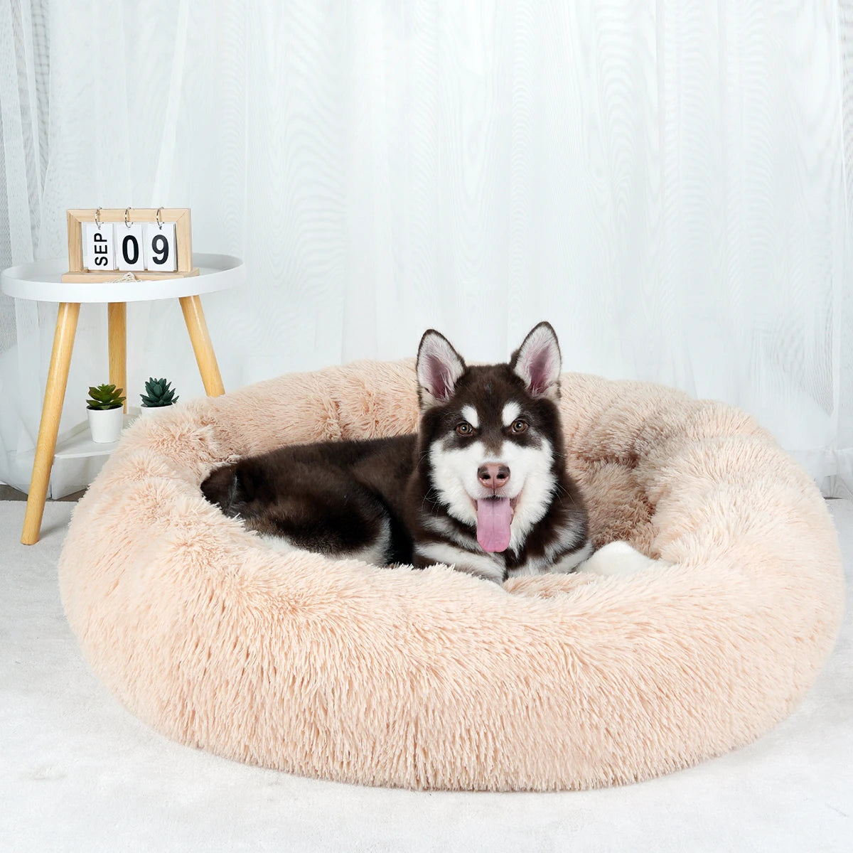 Luxury Plush Dog Bed - Large Washable Pet Furniture for Comfort