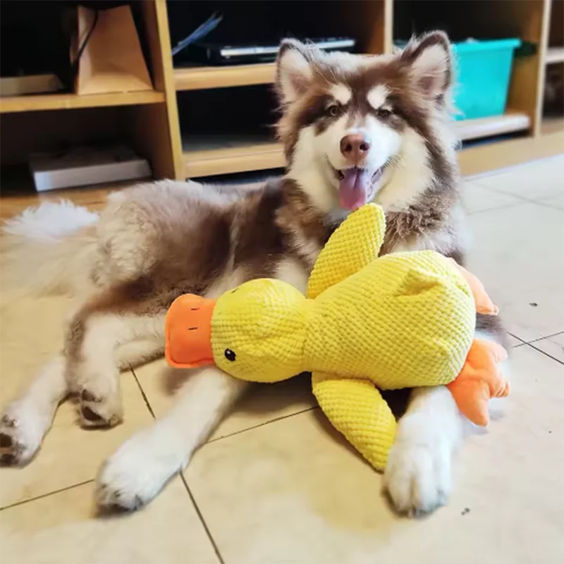 Stomping Duck Dog Toy - Bite Resistant & Interactive