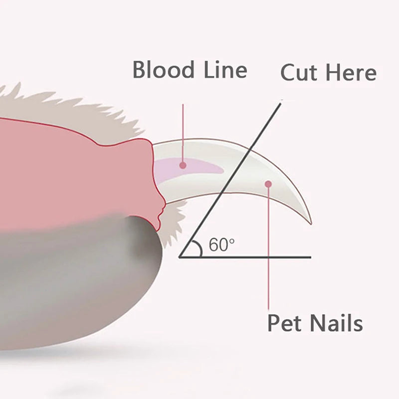 Professional Pet Nail Clippers with LED Light - Ideal for Dogs, Cats, and Small Animals