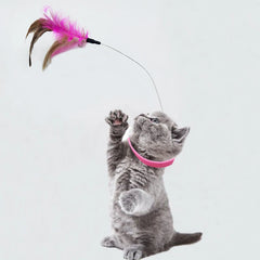 Interactive Cat Teaser Neck Collar with Feather and Bell