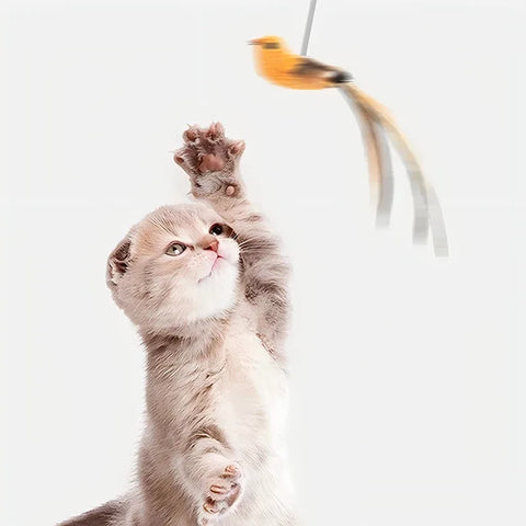 Kattenplaagstok met gesimuleerde vogelveer - Interactief kattenspeelgoed