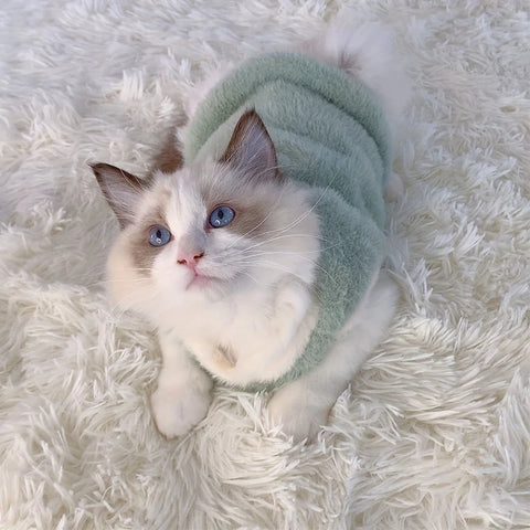 Cozy Winter Apparel for Kittens and Small Dogs - Warm Accessories for Pets