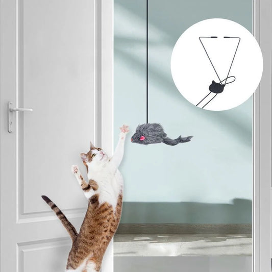 New Door Hanging Cat Toy for Stress Relief