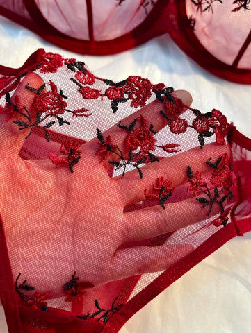 Elegant New Wine See-Through Lingerie Two-Piece Set with Thong and Push-Up Bra