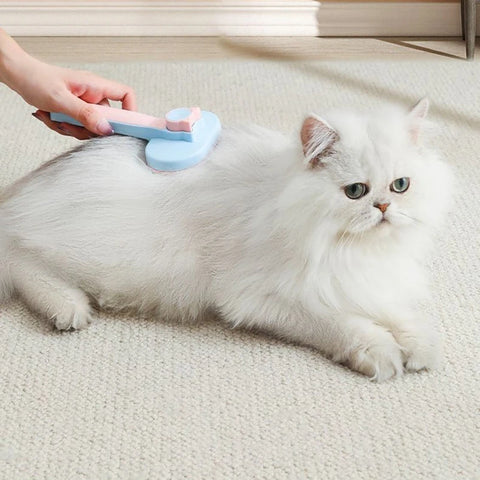 Blauwe kattenborstel voor honden – zwevende ontharingskam