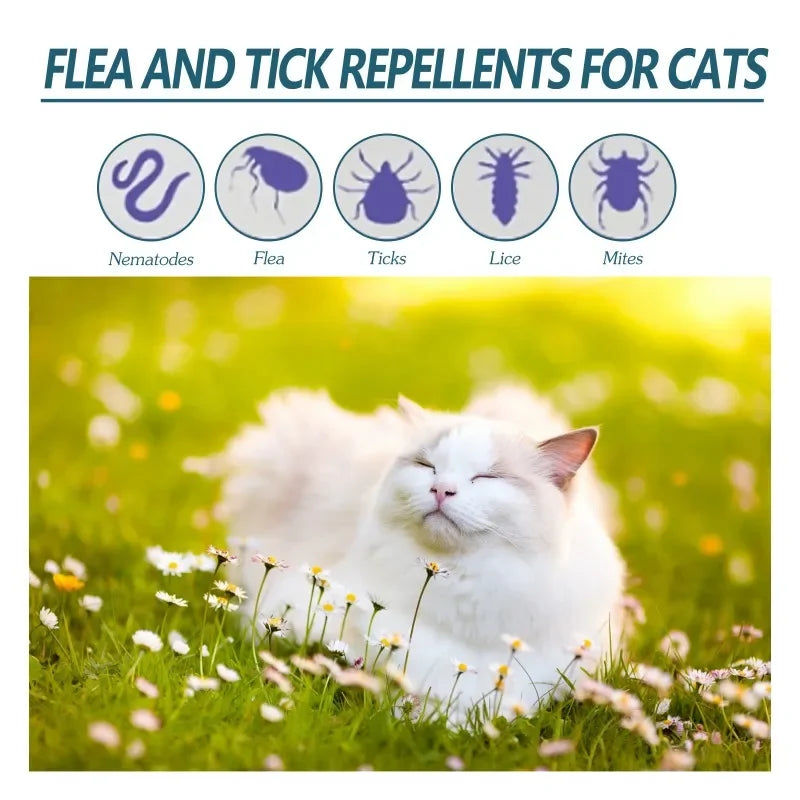 50ml Pet Anti-Flea and Tick Agent for Cats and Dogs - Effective Deworming and Skin Cleaning