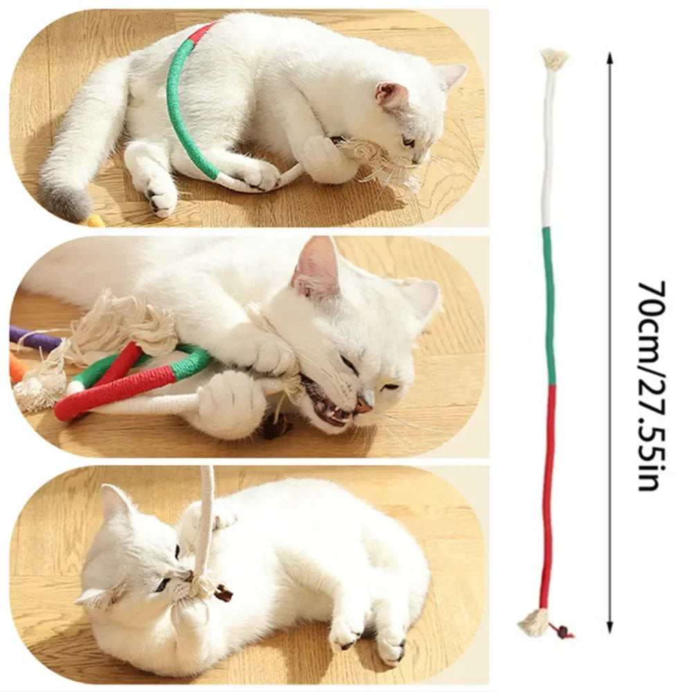 Interactive Molar Cotton Rope Cat Toys with Silvervine - Engaging Teaser for Kittens