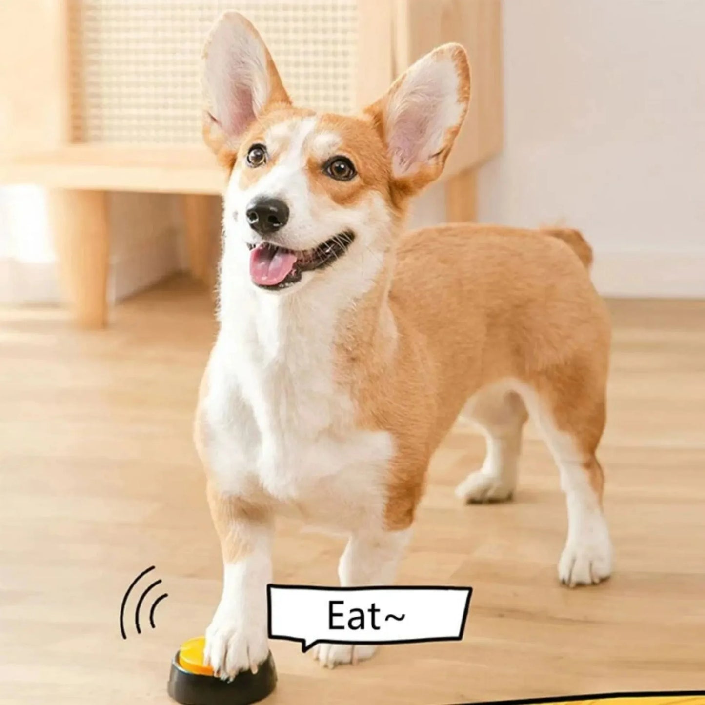 Dog Communication Buttons - Voice Recording Buzzer for Pet Training