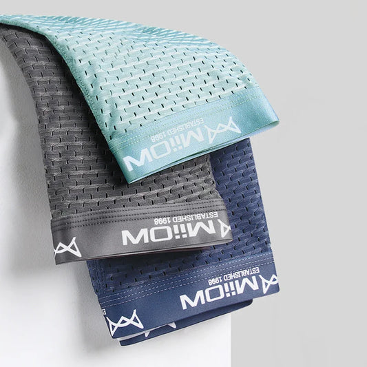 MiiOW 3Pcs Sexy Mesh Men Boxer Underwear