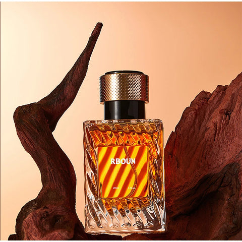 Arab Brand Leather Notes Perfume - Unisex Fresh Romantic Fougere Scent with Woody Notes