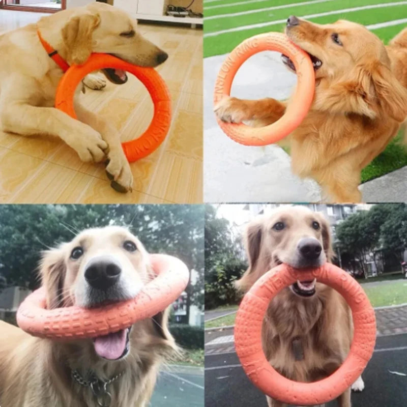 Interactive Orange Dog Flying Disk - EVA Training Ring Puller for Dogs