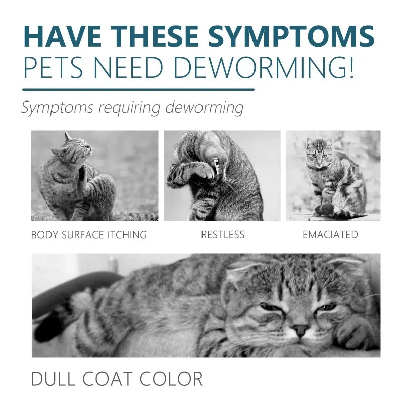 50ml Pet Anti-Flea and Tick Agent for Cats and Dogs - Effective Deworming and Skin Cleaning