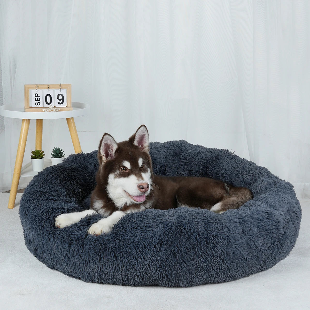 Luxury Plush Dog Bed - Large Washable Pet Furniture for Comfort