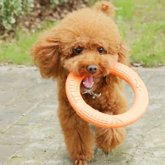 Interactive Orange Dog Flying Disk - EVA Training Ring Puller for Dogs