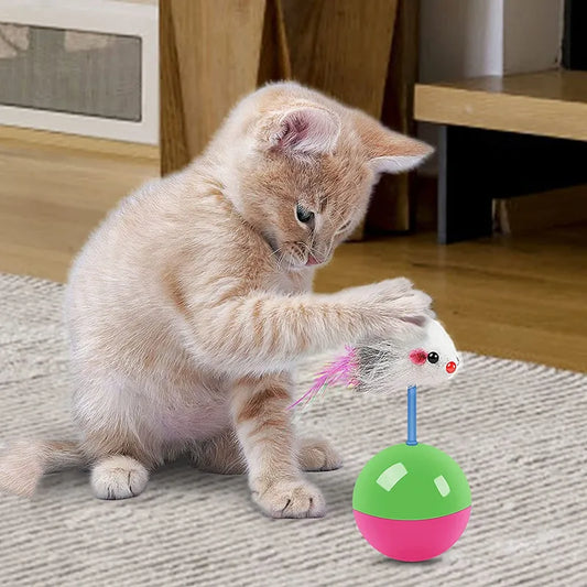 Interactive Cat Toy Set - Fun Mouse Teaser for Cats and Dogs