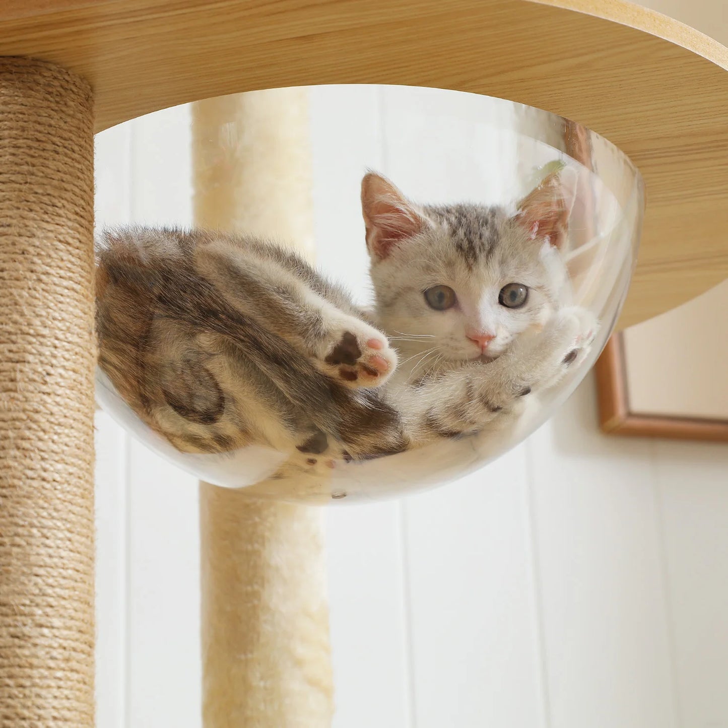 Multi-Level Cat Tree for Indoor Cats - Spacious Wood Tower with Scratching Posts, Hammock, and Perch