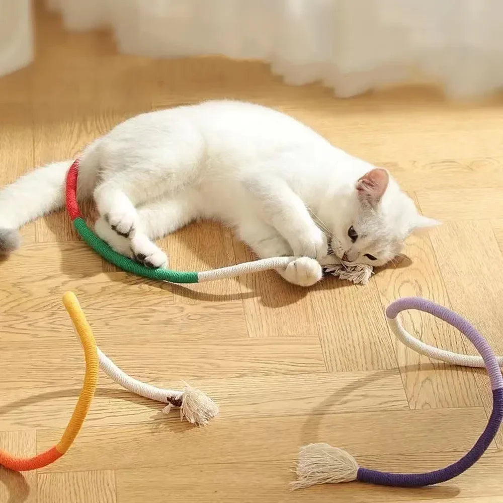 Interactive Molar Cotton Rope Cat Toys with Silvervine - Engaging Teaser for Kittens