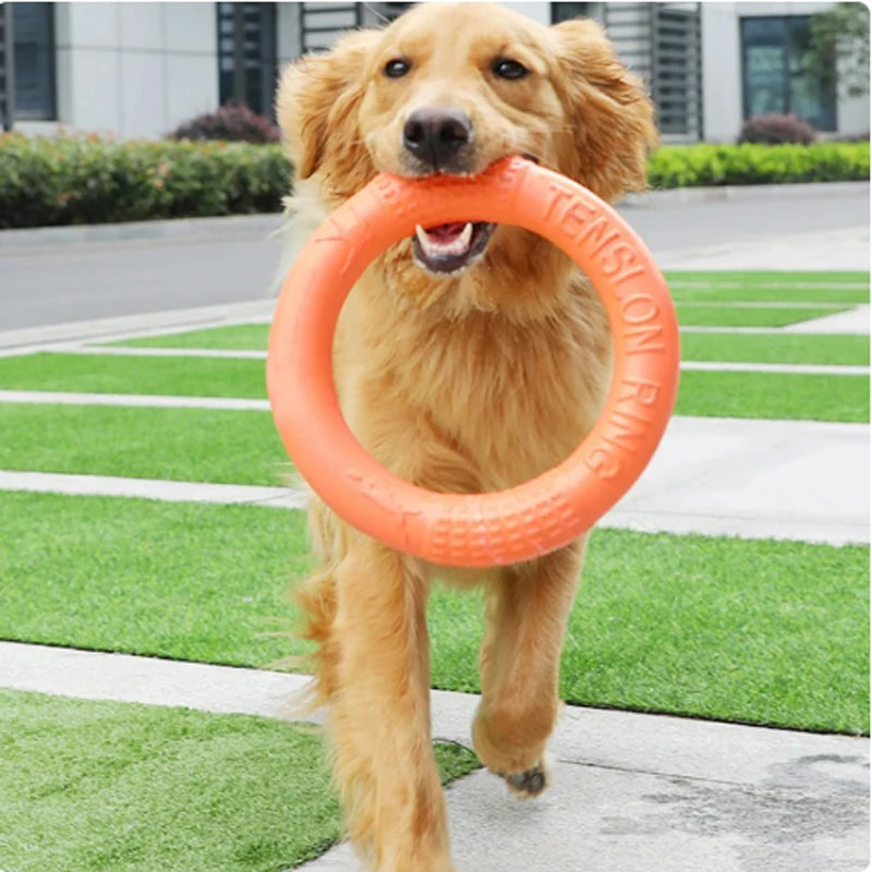 Interactive Orange Dog Flying Disk - EVA Training Ring Puller for Dogs