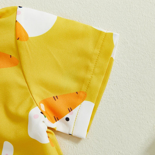 Tregren Infant Baby Boy Easter Outfit Set