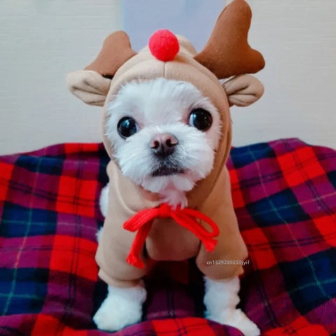 Christmas Dog Winter Hooded Sweatshirt Costume for Small Medium Pets - Cozy Jacket for Puppies and Cats