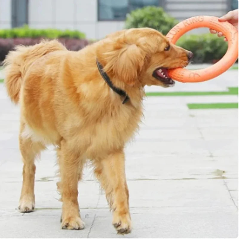 Interactive Orange Dog Flying Disk - EVA Training Ring Puller for Dogs