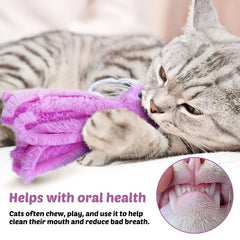 Cute Octopus Cat Toys for Kittens and Young Cats