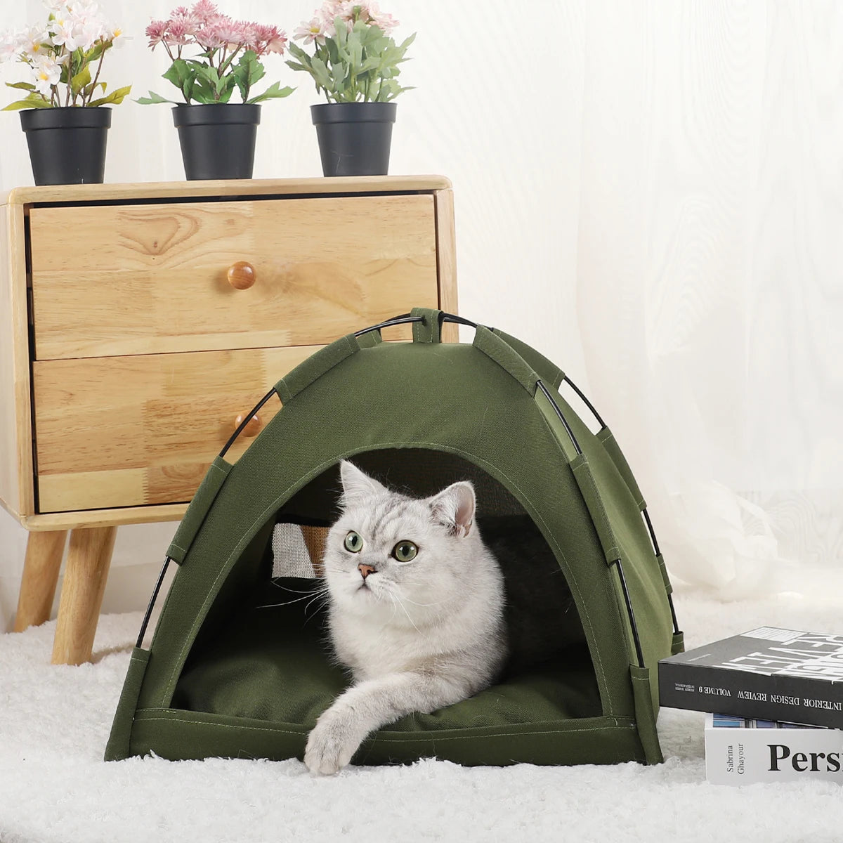 Cozy Clamshell Cat Tent Bed - Perfect for Your Feline Friend