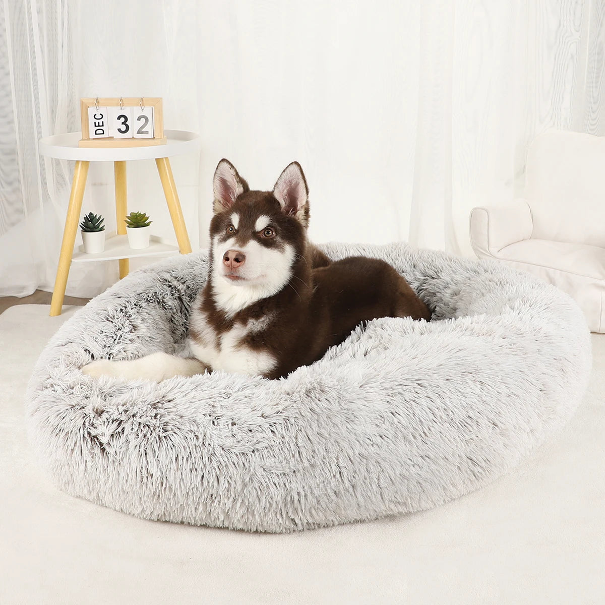 Luxury Plush Dog Bed - Large Washable Pet Furniture for Comfort
