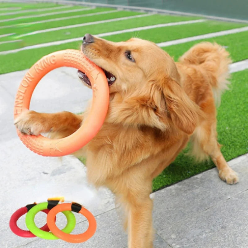 Interactive Orange Dog Flying Disk - EVA Training Ring Puller for Dogs