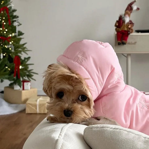 Fashion Bow-Embroidered Dog Coat - Stylish Hooded Down Jacket for Winter Warmth