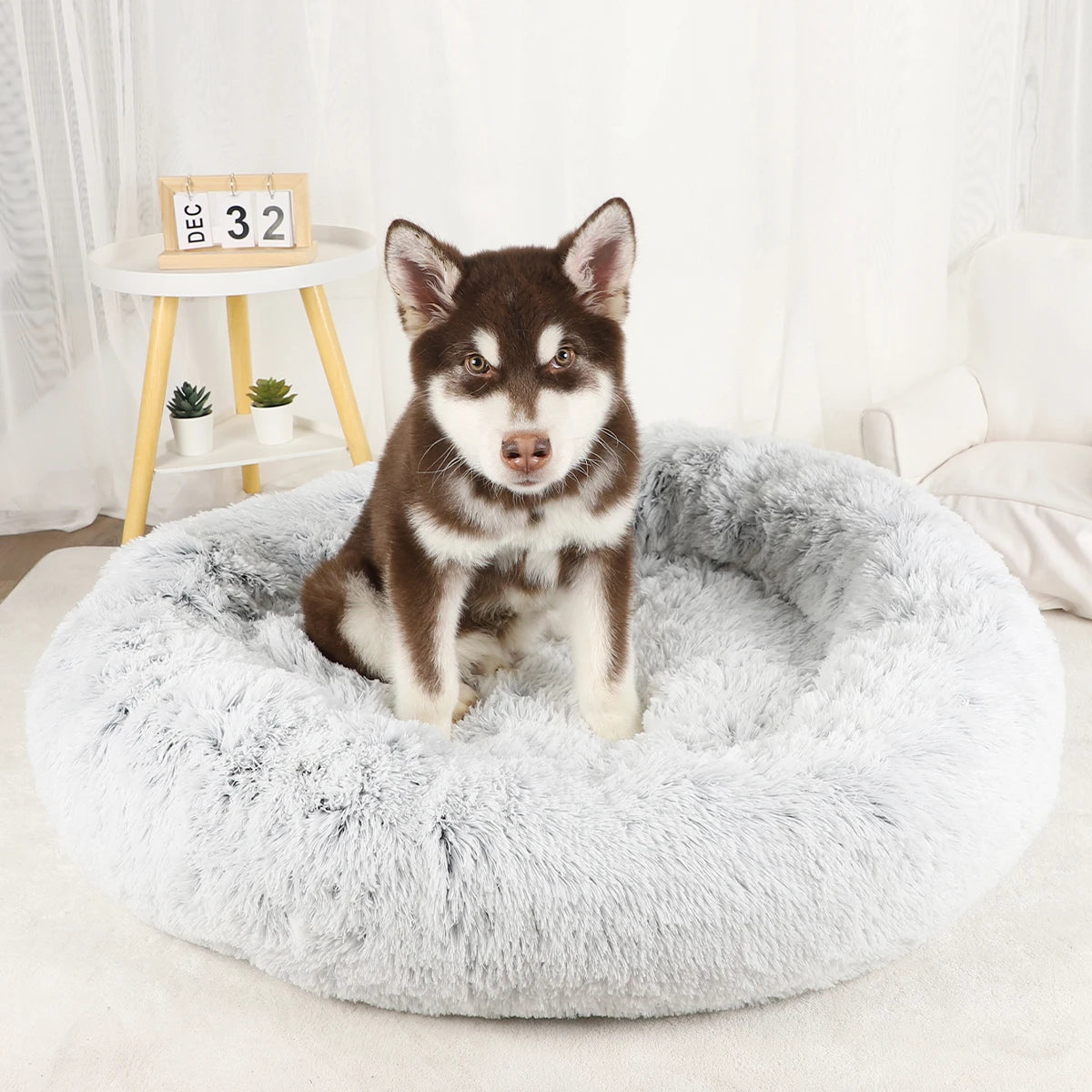 Luxury Plush Dog Bed - Large Washable Pet Furniture for Comfort