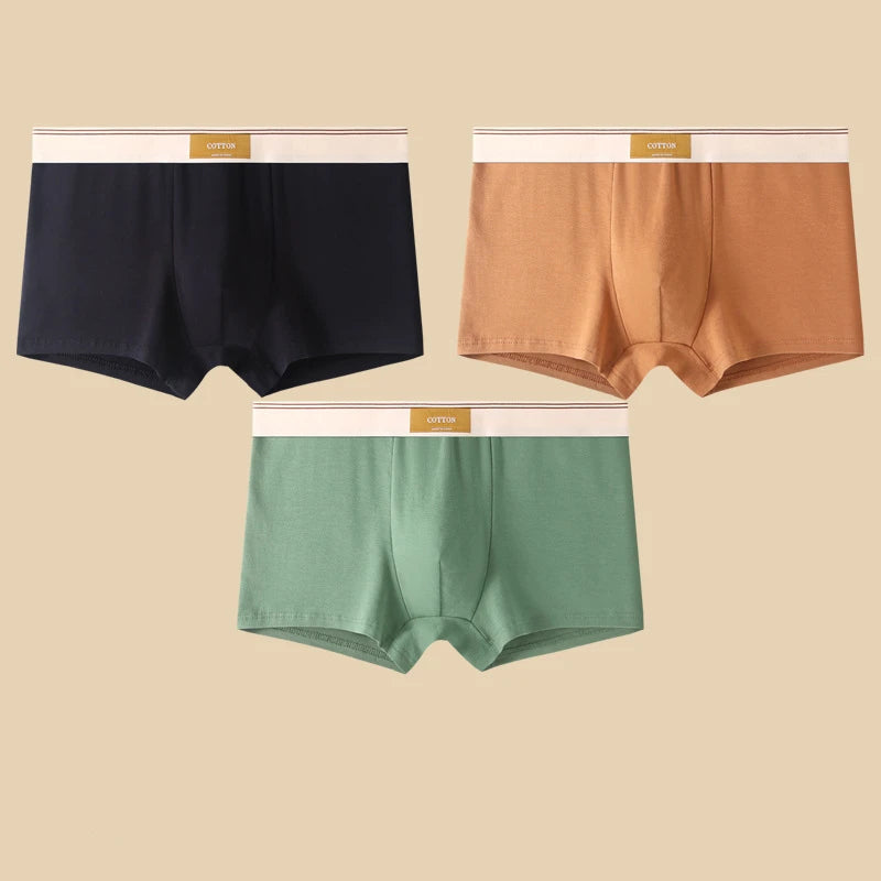 3Pcs Men's Comfortable Cotton Boxer Shorts