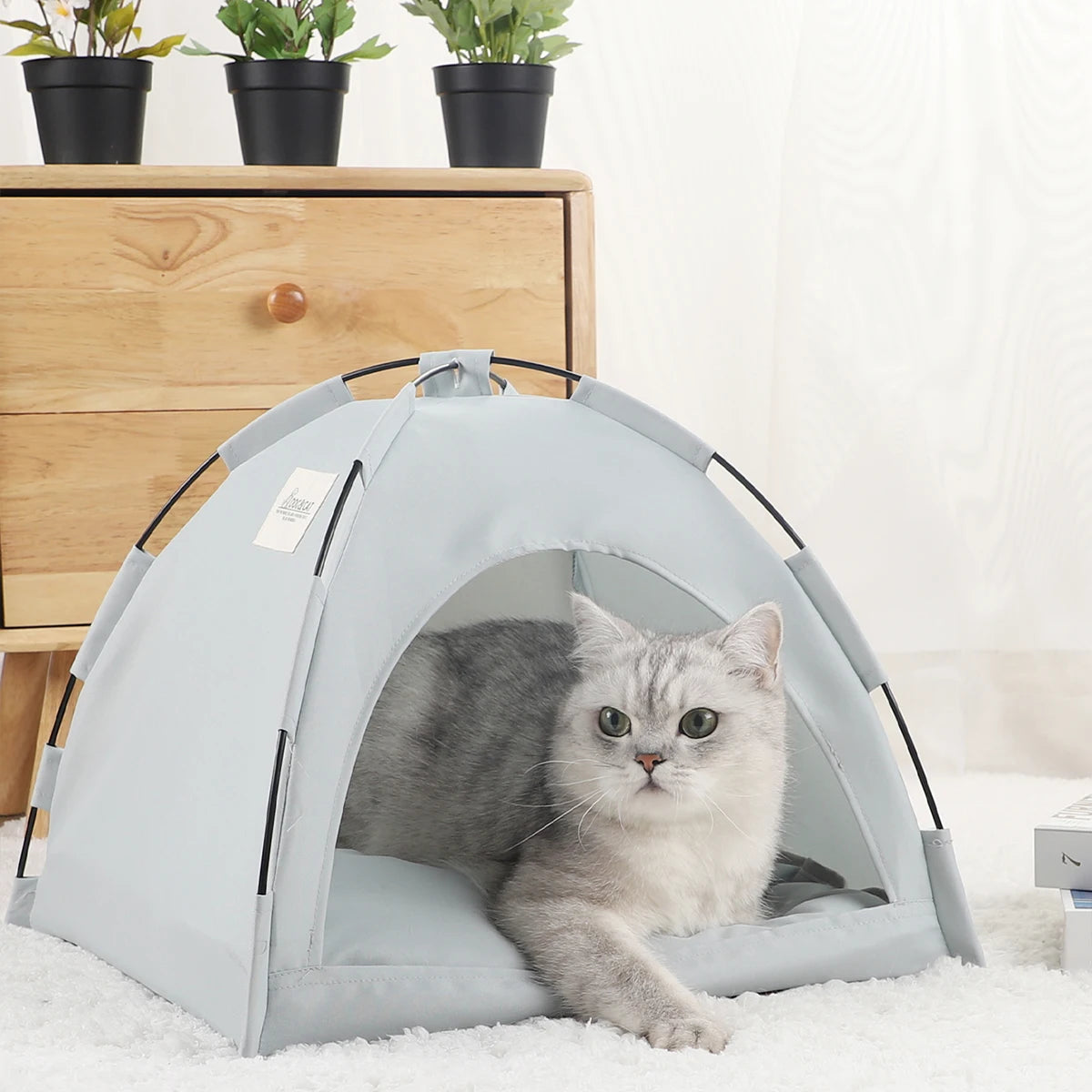 Cozy Clamshell Cat Tent Bed - Perfect for Your Feline Friend