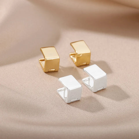 Stainless Steel Earrings for Women - Geometric Butterfly Twist Heart Zircon Minimalist Wedding Aesthetic Jewelry Gift 2023