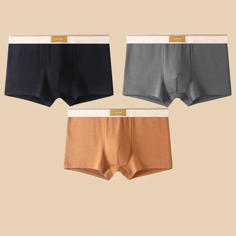 3Pcs Men's Comfortable Cotton Boxer Shorts
