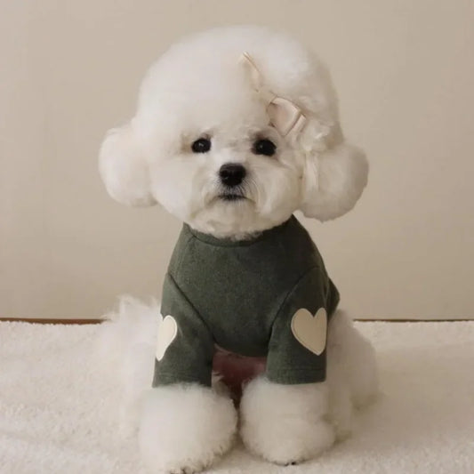 Cute Love Bear Yorkshire Hoodie for Pets - Warm Winter Clothing