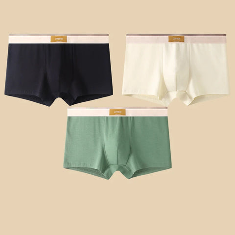 3Pcs Men's Comfortable Cotton Boxer Shorts