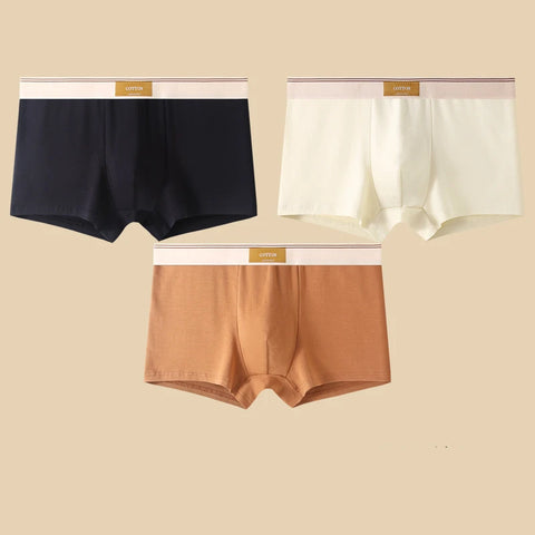 3Pcs Men's Comfortable Cotton Boxer Shorts