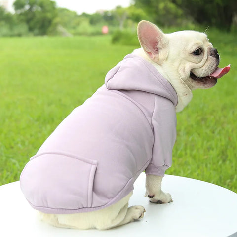 Stylish Dog Winter Hooded Sweatshirt for Small to Medium Pets