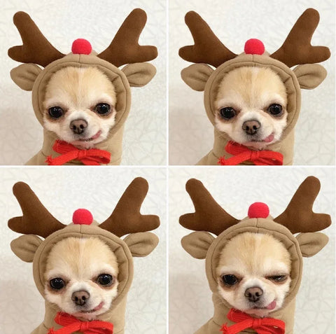 Christmas Dog Winter Hooded Sweatshirt Costume for Small Medium Pets - Cozy Jacket for Puppies and Cats