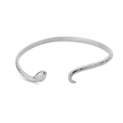 Vintage Snake Bangle Bracelet for Women - Stainless Steel Animal Aesthetic Jewelry
