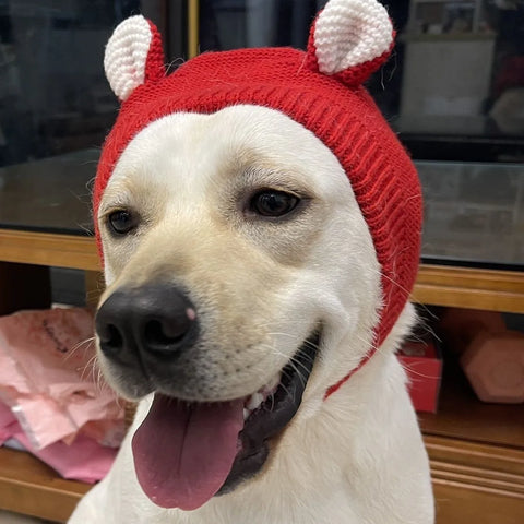 Winter Warm Dog Hat Ear Muffs - Noise Protection & Windproof Ears Covers for Small and Medium Puppies