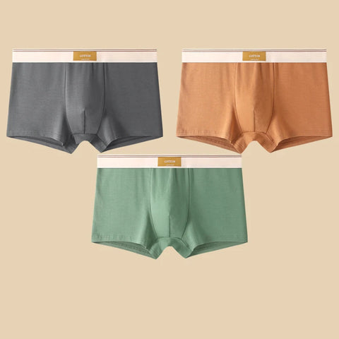 3Pcs Men's Comfortable Cotton Boxer Shorts
