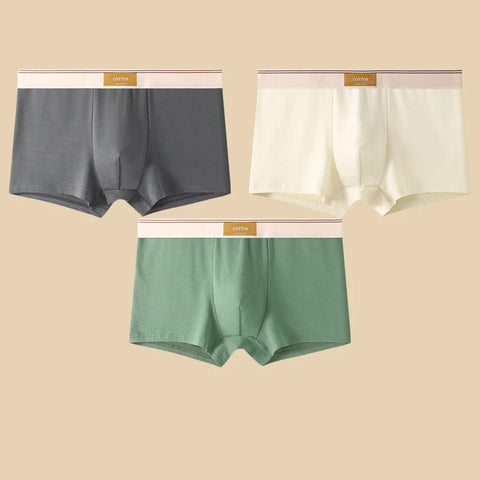 3Pcs Men's Comfortable Cotton Boxer Shorts