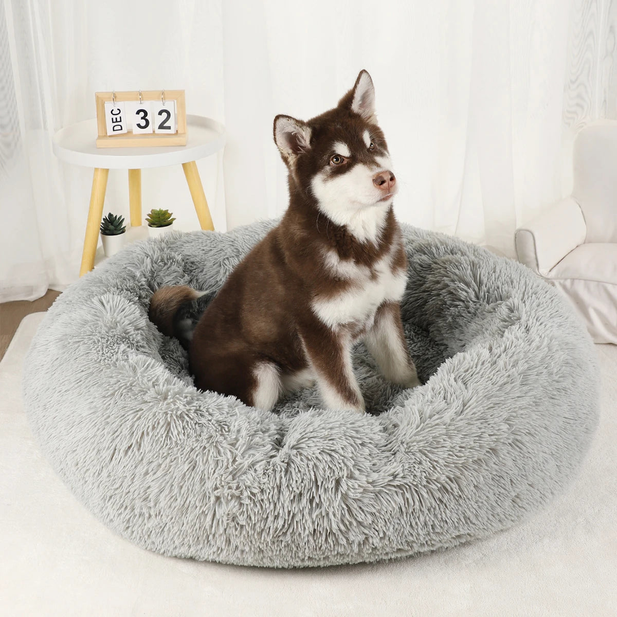 Luxury Plush Dog Bed - Large Washable Pet Furniture for Comfort