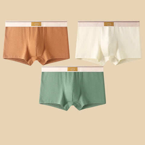 3Pcs Men's Comfortable Cotton Boxer Shorts