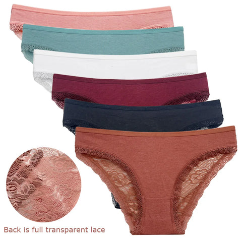 5 PCS/Set New Arrival Sexy Low-rise Underwear - Soft Lace Transparent Cotton Briefs for Women